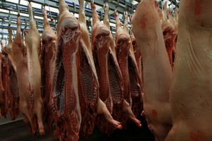 中國擬投放１萬噸儲備凍豬肉。（圖源：Sputnik）