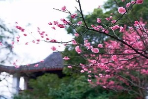 （示意圖源：互聯網）