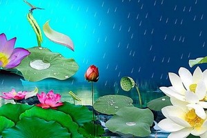 （示意圖源：互聯網）