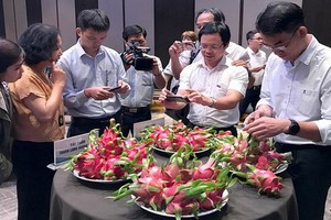 新西蘭在我國投資的項目是鼓勵農民應用blockchain（區塊鏈）技術於火龍果 質量的管理和出口工作。