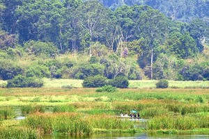 將對侵佔濕地的行為作出處罰規定。
