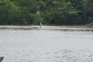 事發地點的河域。（圖源：英明）