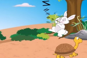 龜兔第一次賽跑，兔子因半路睡覺輸給了烏龜，顏面盡失。一年後，兔子要求重賽。