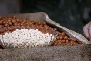 （示意圖源：互聯網）