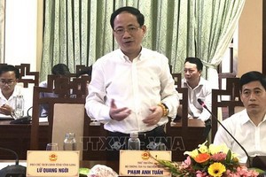 新聞與傳播部副部長范英俊（前左）在會議上發言。（圖源：越通社）