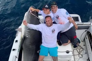 澳洲一名8歲男童近日成功捕捉一條重314公斤的虎鯊。（圖源：互聯網）