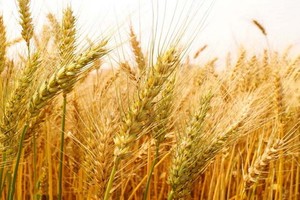 （示意圖源：互聯網）