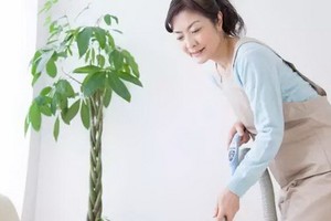 （示意圖源：互聯網）