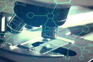 研究表明，男女在對某些疾病易感性上存在差異，這些疾病包括肥胖、糖尿病、痛風、自閉症、抑鬱症等。（示意圖源：互聯網）