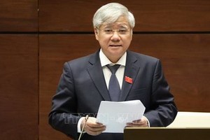 民族委員會主任杜文戰部長在會議上闡釋國會代表提出的若干問題。（圖源：越通社）