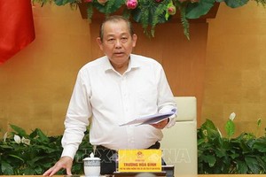 政府常務副總理張和平。（圖源：越通社）
