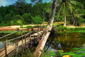 （示意圖源：互聯網）