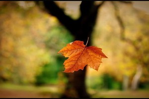 （示意圖源：互聯網）