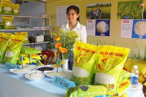 ST大米系列一直以來深受國內消費者的歡迎。（圖源：互聯網）