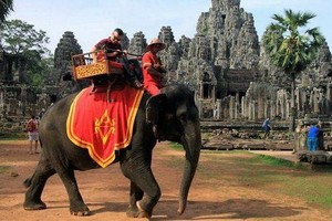 吳哥窟管理當局表示，利用大象進行商業行為並不恰當，將自2020年初起禁止騎象。（圖源：互聯網）