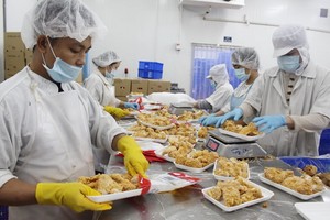 我國食品加工行業吸引許多外商投資。（圖源：田升）