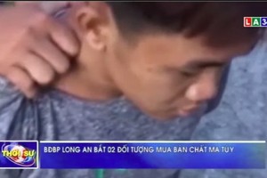 圖為今年5月22日隆安省邊防部隊破獲一起運販毒品案，繳獲5.3公斤冰毒成品。（圖源：視頻截圖）