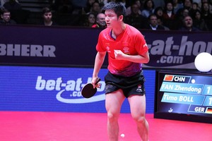 樊振東（圖源：互聯網）