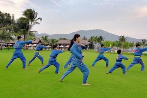 The Anam度假區向遊客推介越武道(Vovinam)學習班。（圖源：玲安）