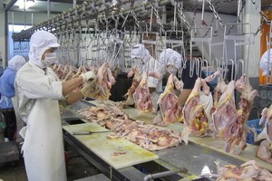 各類家禽肉產量增加以滿足市場需求。