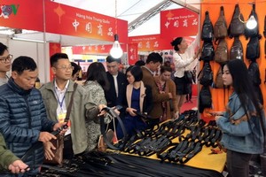 展會一瞥。（圖源：VOV）