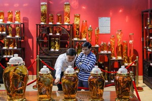 玉靈參博物館一隅。（圖源：瓊陳）