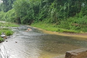 沱江自來水廠的水源遭排放廢棄潤滑油，導致飲用水污染。（圖源：陳黃）
