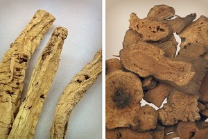 （示意圖源：互聯網）