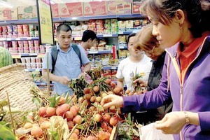 消費者在超市裡選購新鮮荔枝。（示意圖源：清海）