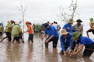 在滀臻省種植海桑給民眾帶來許多利益。