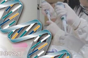 日本厚勞省將啟動 10 萬人全基因組解析項目。（示意圖源：Nikkei）