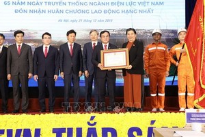 黨中央政治局委員、國會常務副主席從氏放（右三）向越南電力集團頒授一等勞動勳章。（圖源：越通社）