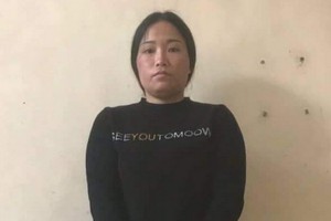 被抓獲的女竊賊陳氏紅。（圖源：PV）