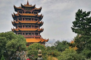 （示意圖源：互聯網）