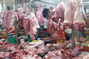 豬肉價格呈下降趨勢。（圖源：H.Linh）