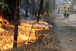 澳大利亞山火持續蔓延。（圖源：AP）