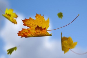 （示意圖源：互聯網）