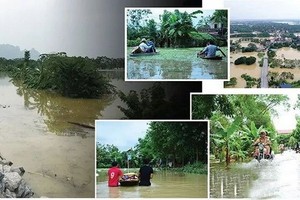 越南是20年來受災最嚴重的6個國家之一。（圖源：互聯網）