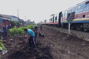 舊邑郡第五坊民眾清除垃圾，同時在列車軌道沿途種植綠樹。