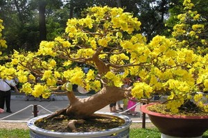 （示意圖源：互聯網）