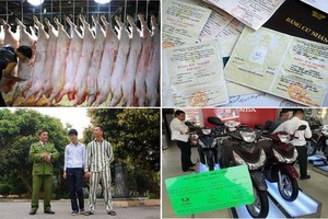 （示意圖源：田升）