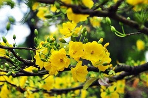 （示意圖源：互聯網）