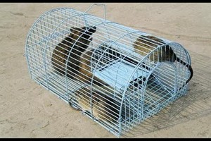 （示意圖源：互聯網）