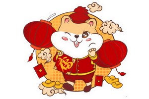 盤點10大可愛老鼠