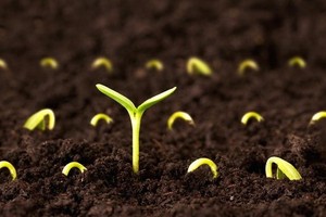 （示意圖源：互聯網）