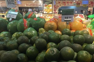 （示意圖源：互聯網）