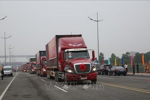 一輛輛大貨車經北侖2橋熙熙攘攘行駛通關。（圖源：越通社）