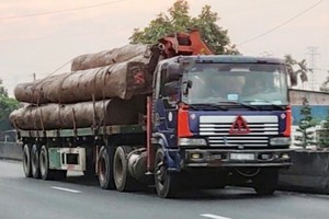 既超載又缺乏安全性的運送巨木卡車在1A國道上行駛。（圖源：VOV）