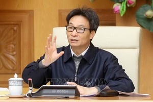 政府副總理武德膽主持會議並發表講話。（圖源：越通社）