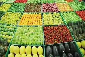 以色列禁止巴勒斯坦農產品經約旦出口。（示意圖源：互聯網）